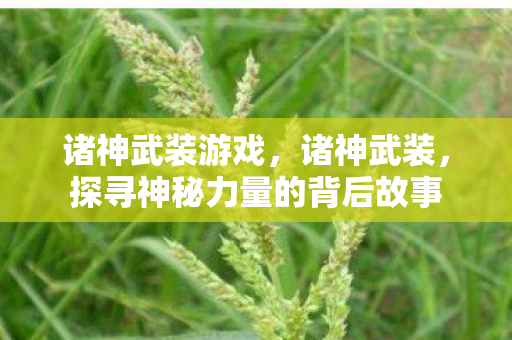 诸神武装游戏，诸神武装，探寻神秘力量的背后故事