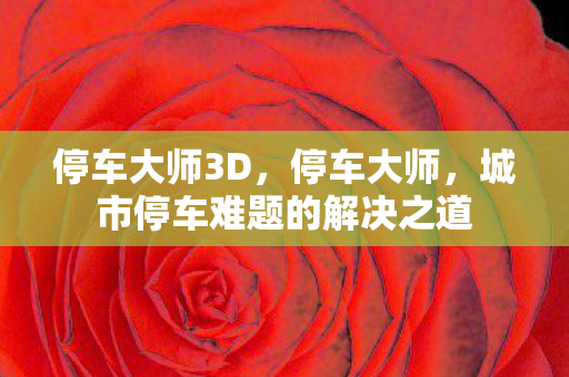 停车大师3D，停车大师，城市停车难题的解决之道