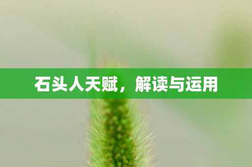 石头人天赋，解读与运用