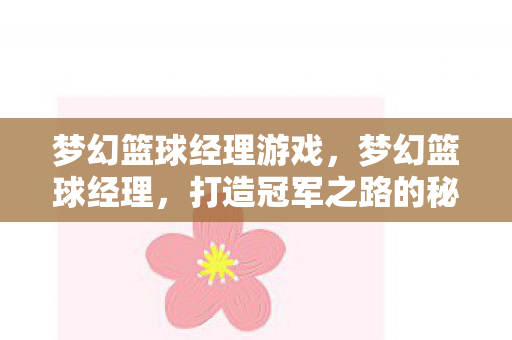 梦幻篮球经理游戏，梦幻篮球经理，打造冠军之路的秘诀