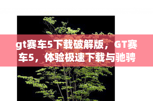 gt赛车5下载破解版，GT赛车5，体验极速下载与驰骋赛道的激情