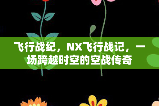 飞行战纪，NX飞行战记，一场跨越时空的空战传奇