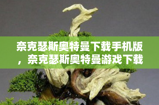 奈克瑟斯奥特曼下载手机版，奈克瑟斯奥特曼游戏下载指南与体验分享