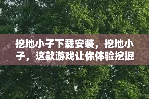 挖地小子下载安装，挖地小子，这款游戏让你体验挖掘乐趣，快来下载吧！