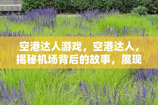 空港达人游戏，空港达人，揭秘机场背后的故事，展现航空行业的魅力