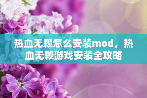 热血无赖怎么安装mod，热血无赖游戏安装全攻略