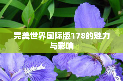 完美世界国际版178的魅力与影响
