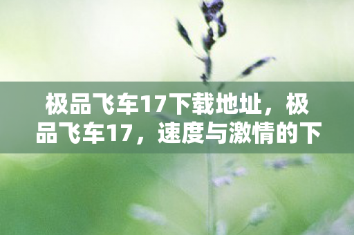 极品飞车17下载地址，极品飞车17，速度与激情的下载之旅—中文版