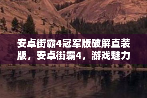 安卓街霸4冠军版破解直装版，安卓街霸4，游戏魅力与操作技巧的深度解析