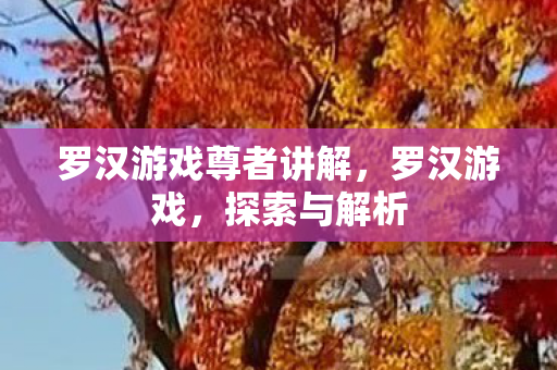 罗汉游戏尊者讲解，罗汉游戏，探索与解析