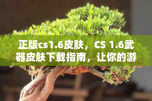正版cs1.6皮肤，CS 1.6武器皮肤下载指南，让你的游戏焕然一新
