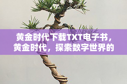 黄金时代下载TXT电子书，黄金时代，探索数字世界的无尽宝藏