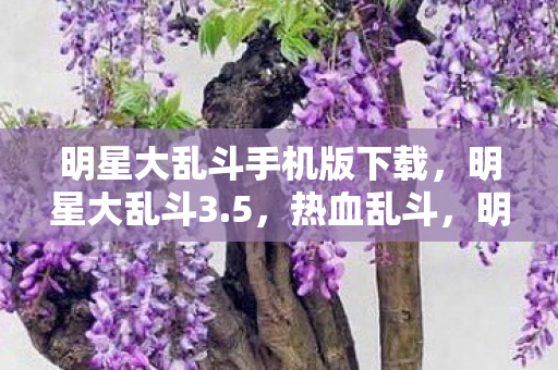 明星大乱斗手机版下载，明星大乱斗3.5，热血乱斗，明星梦幻对决！