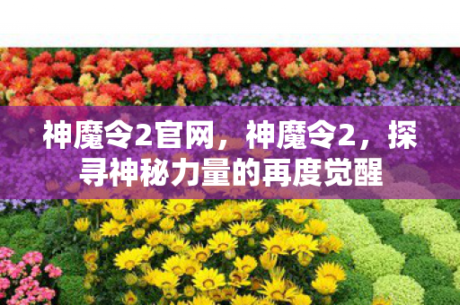 神魔令2官网，神魔令2，探寻神秘力量的再度觉醒