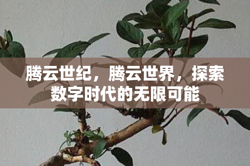 腾云世纪，腾云世界，探索数字时代的无限可能