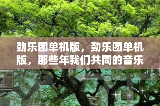 劲乐团单机版，劲乐团单机版，那些年我们共同的音乐游戏回忆