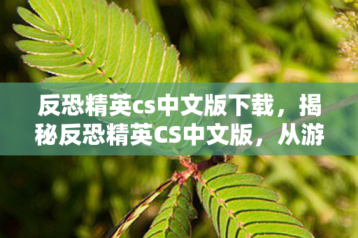 反恐精英cs中文版下载，揭秘反恐精英CS中文版，从游戏起源到精彩内容