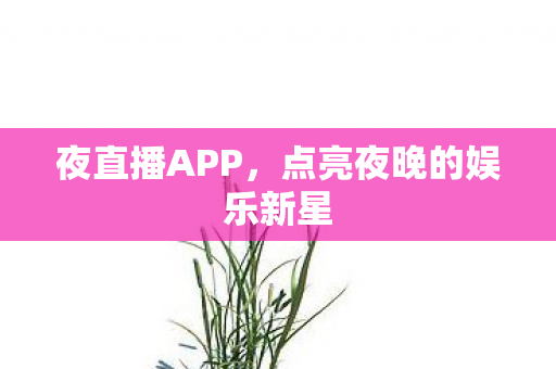 夜直播APP，点亮夜晚的娱乐新星