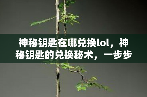 神秘钥匙在哪兑换lol，神秘钥匙的兑换秘术，一步步解锁你的宝藏