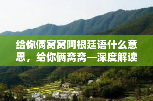 给你俩窝窝阿根廷语什么意思，给你俩窝窝—深度解读现代年轻人的生活压力与生活态度