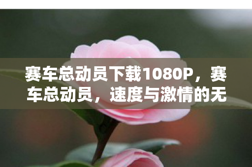 赛车总动员下载1080P，赛车总动员，速度与激情的无尽下载