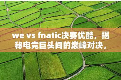 we vs fnatic决赛优酷，揭秘电竞巨头间的巅峰对决，WE与Fnatic的荣耀之战