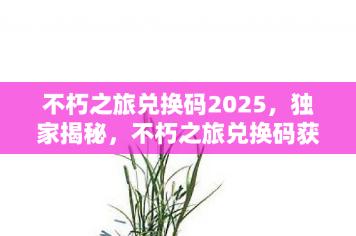 不朽之旅兑换码2025，独家揭秘，不朽之旅兑换码获取攻略与实用指南