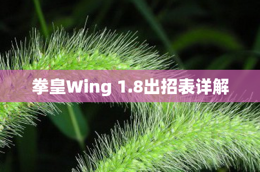 拳皇Wing 1.8出招表详解