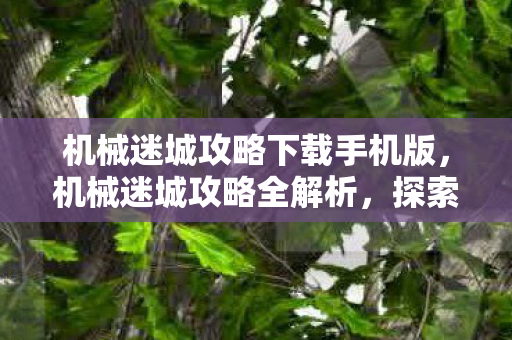 机械迷城攻略下载手机版，机械迷城攻略全解析，探索未知世界的秘密通道