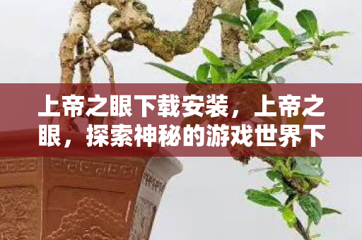 上帝之眼下载安装，上帝之眼，探索神秘的游戏世界下载体验