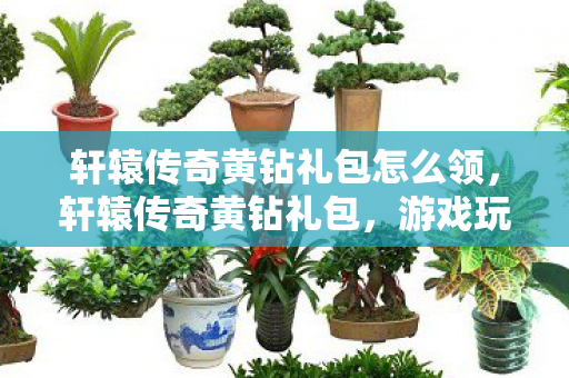 轩辕传奇黄钻礼包怎么领，轩辕传奇黄钻礼包，游戏玩家的福音