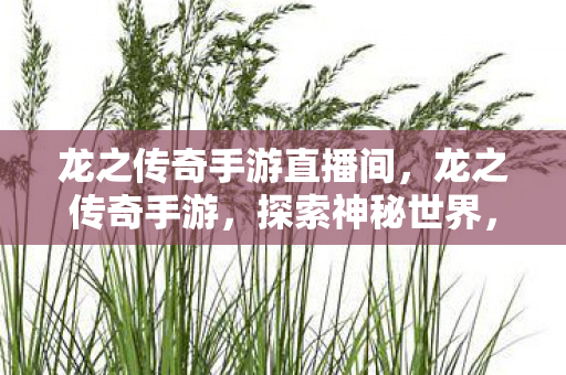 龙之传奇手游直播间，龙之传奇手游，探索神秘世界，体验极致游戏乐趣