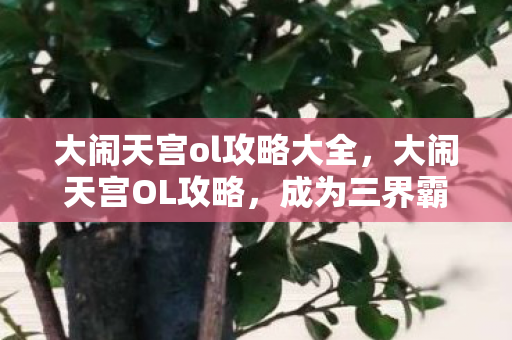 大闹天宫ol攻略大全，大闹天宫OL攻略，成为三界霸主的秘诀