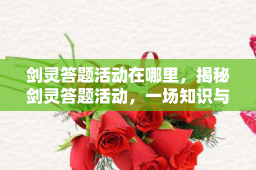 剑灵答题活动在哪里，揭秘剑灵答题活动，一场知识与乐趣的盛宴