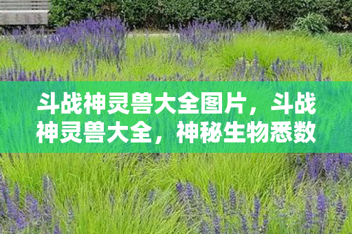 斗战神灵兽大全图片，斗战神灵兽大全，神秘生物悉数登场