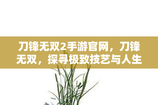 刀锋无双2手游官网，刀锋无双，探寻极致技艺与人生智慧