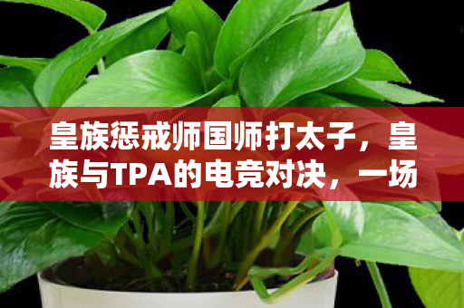 皇族惩戒师国师打太子，皇族与TPA的电竞对决，一场精彩绝伦的较量