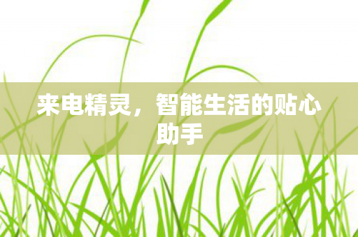 来电精灵，智能生活的贴心助手