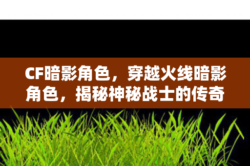 CF暗影角色，穿越火线暗影角色，揭秘神秘战士的传奇故事
