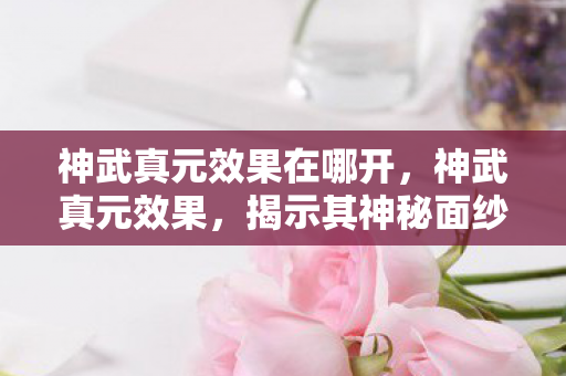 神武真元效果在哪开，神武真元效果，揭示其神秘面纱与实际应用价值