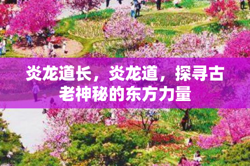 炎龙道长，炎龙道，探寻古老神秘的东方力量