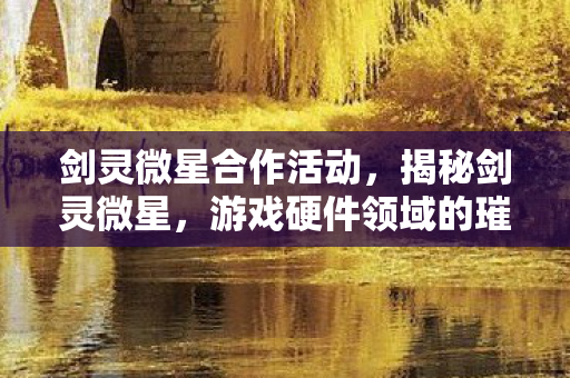 剑灵微星合作活动，揭秘剑灵微星，游戏硬件领域的璀璨新星