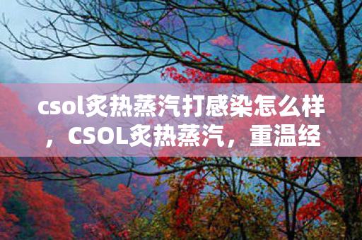 csol炙热蒸汽打感染怎么样，CSOL炙热蒸汽，重温经典，探索游戏新篇章