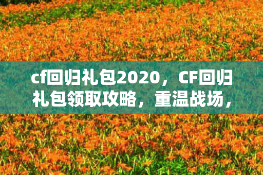 cf回归礼包2020，CF回归礼包领取攻略，重温战场，福利满满（2014）