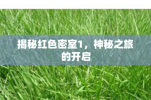 揭秘红色密室1，神秘之旅的开启