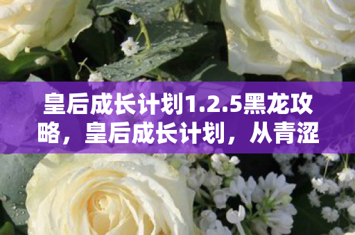 皇后成长计划1.2.5黑龙攻略，皇后成长计划，从青涩少女到王朝女主的蜕变之路（版本1.2）