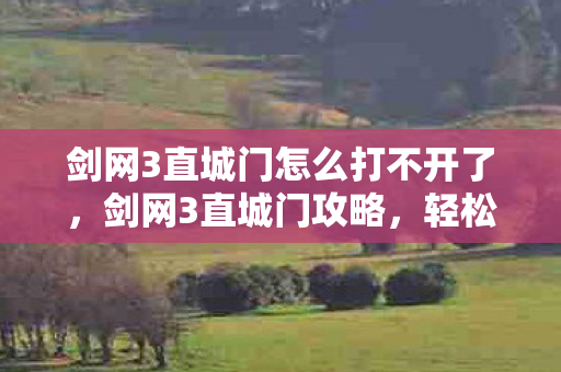 剑网3直城门怎么打不开了，剑网3直城门攻略，轻松掌握攻略技巧，成为战场高手！