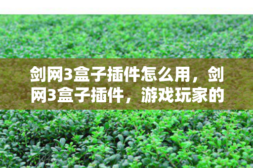 剑网3盒子插件怎么用，剑网3盒子插件，游戏玩家的得力助手