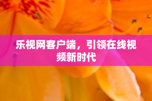 乐视网客户端，引领在线视频新时代