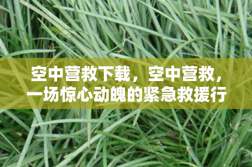 空中营救下载，空中营救，一场惊心动魄的紧急救援行动